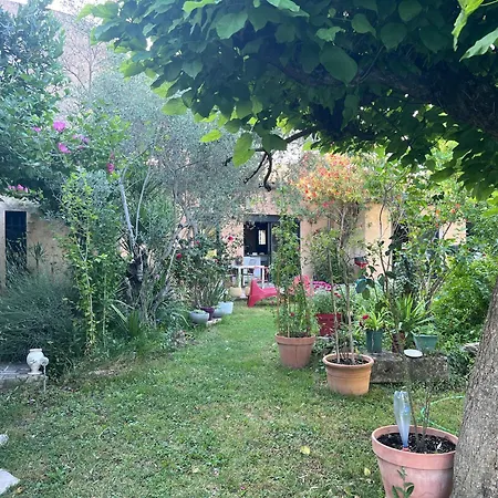 Double La Cigale Insolite Homestay
